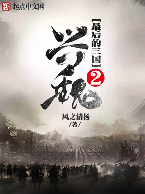 最后的三国2:兴魏小说在线阅读下载